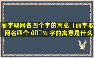 丽字取网名四个字的寓意（丽字取网名四个 🐼 字的寓意是什么）